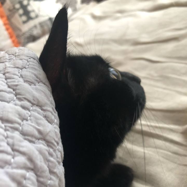 A5475a41 97d7 4512 996f 42c613f54dbb 1556144233595