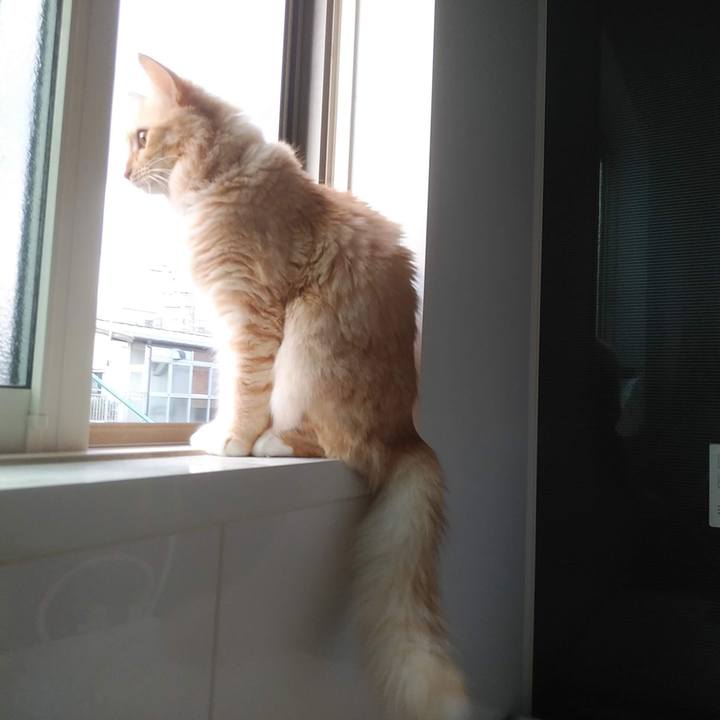 A54765d7 dc36 4dac bf62 f219843bb434 1635234931347