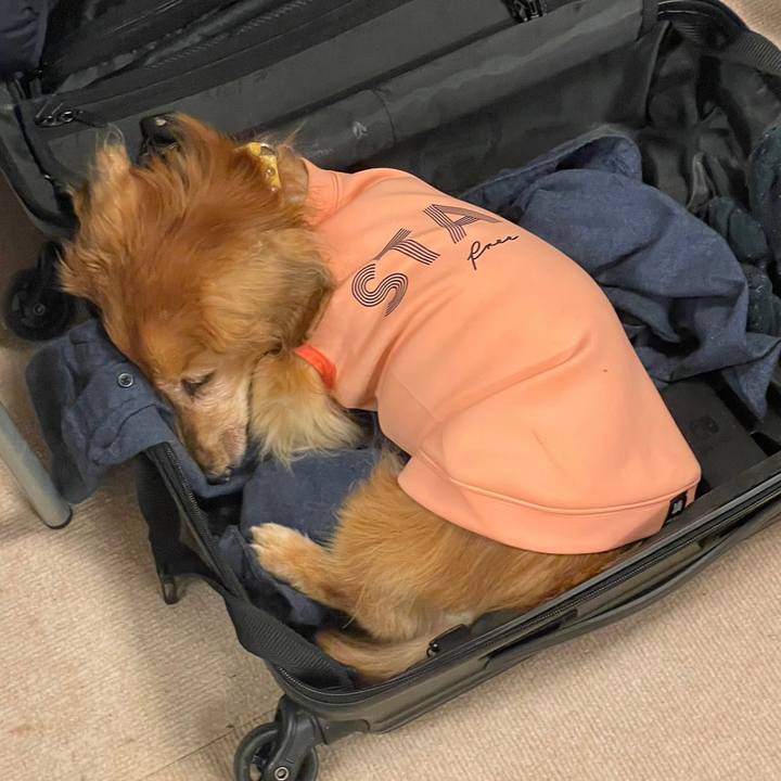 A547737f b767 44c4 ba9d 2188aba6bec6 1698926398708