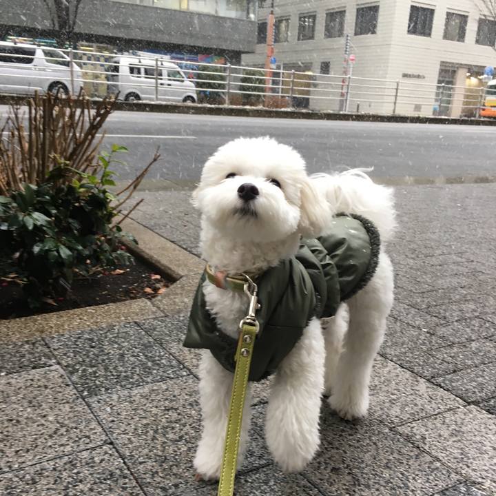 A54791a0 f4f0 4cc3 8230 96d84f7991fa 1516602370592