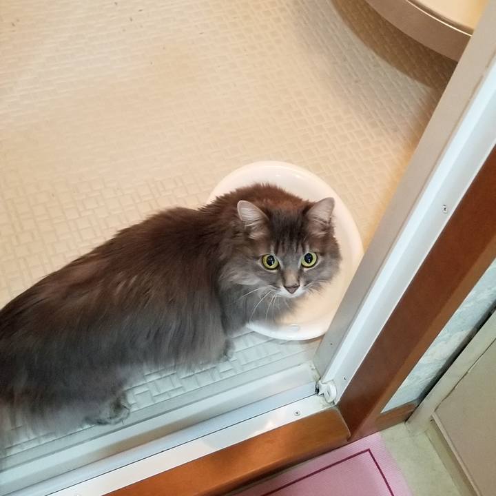 A5479bd3 32dc 4b84 abea b3ed65481132 1558148547195