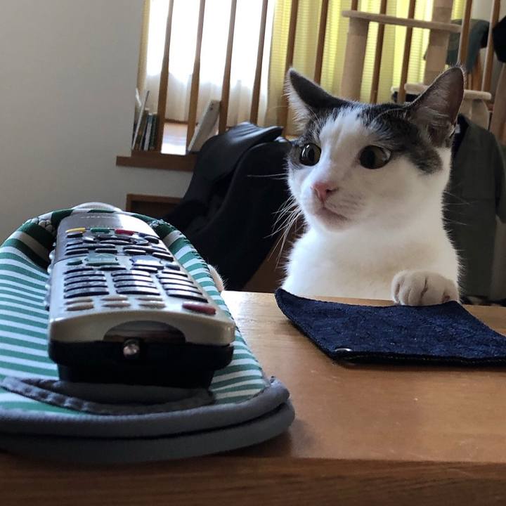 A547a72b e977 4b57 b997 1946d77172d8 1598257671550