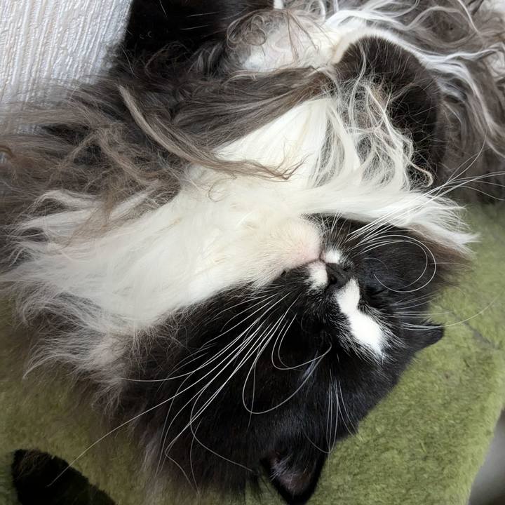 A547a849 f1d7 47af afc6 985c68b9366d 1733662661304