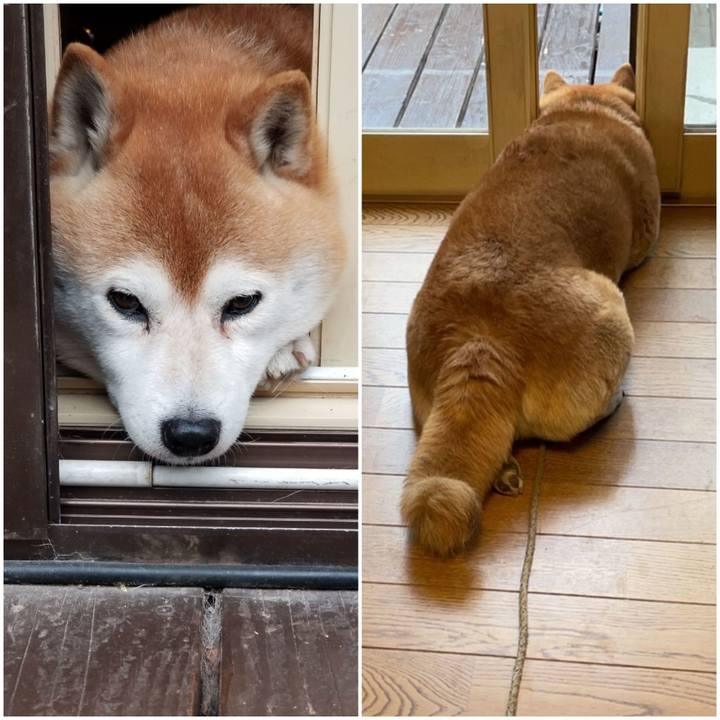 A547e867 7f6f 4eb8 abb0 27d0daabe964 1619653077356