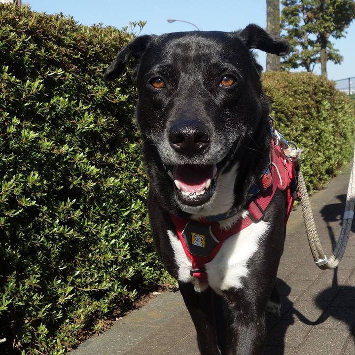 A5480240 7cfb 4c6e 94e5 4c8ee303b18c 1681865166294