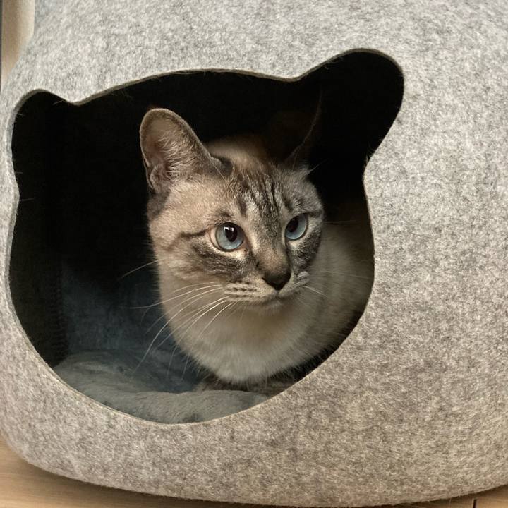 A5483a44 0b5c 459a a1a6 01b49500a0fb 1651467521043