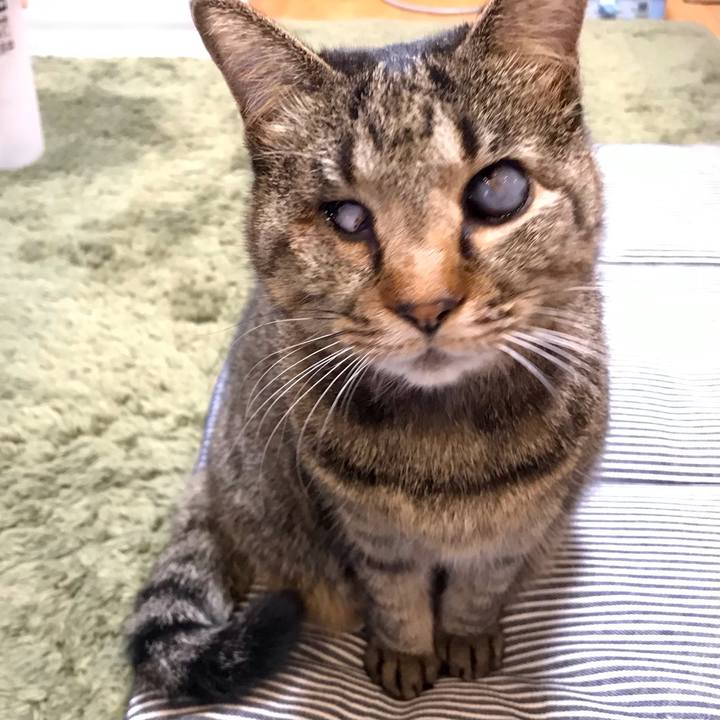 A54879b9 573b 46a8 949a 3919f47a4a11 1612252653723