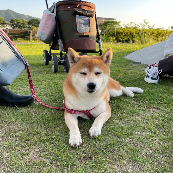 A548895b 4b55 4e3a 9ccb e316d7607275 1684863894515