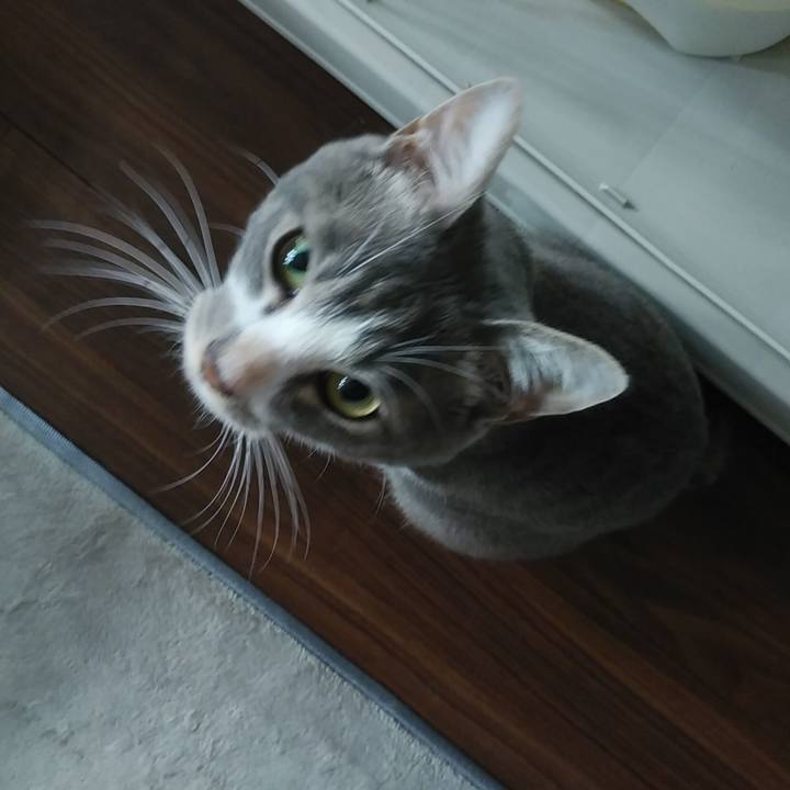 A5489a28 5f68 42a1 90c6 2ca292ea8250 1594506845205