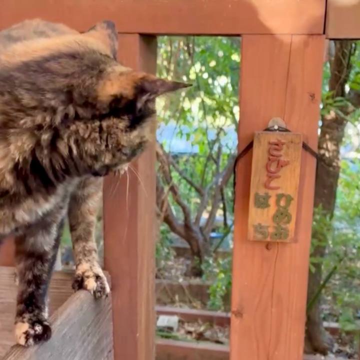 A548d8bc 0bf3 4f92 98d7 e59897598e91 1753783494291