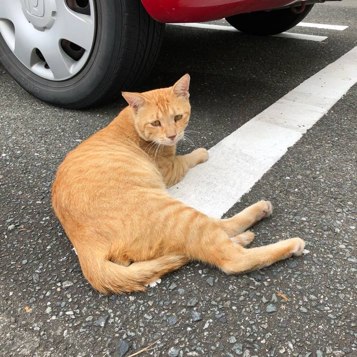 A548e583 d0da 49cb b374 ca8cfe5fbcf2 1566106986274