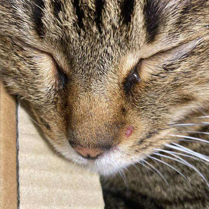 A548fe0e bf92 46e7 9074 9a5cf567e3eb 1637205479634