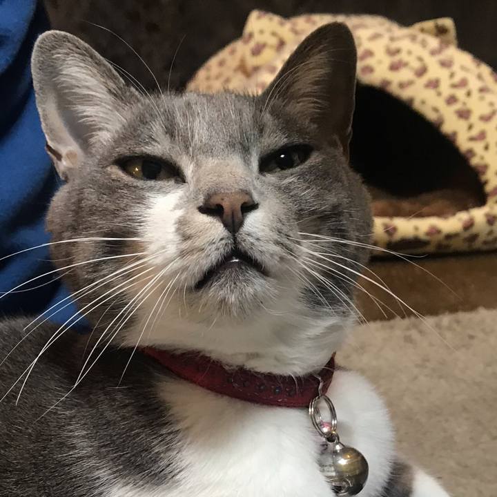 A5493f1a bd92 4954 9453 3987973c5593 1552902125398