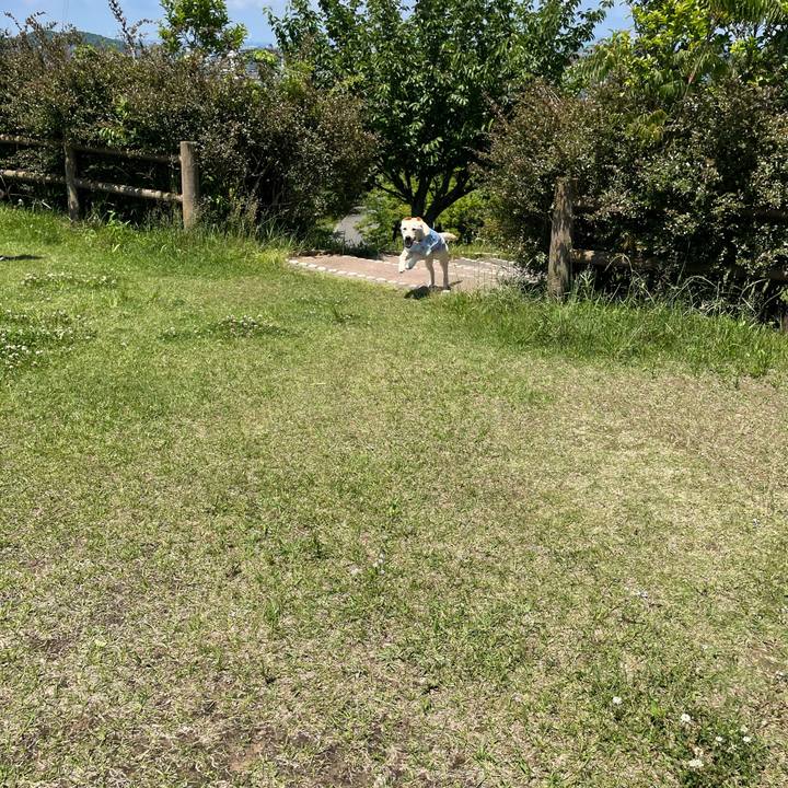 A5494129 3c62 45c2 862a 52422c120fee 1621722147535