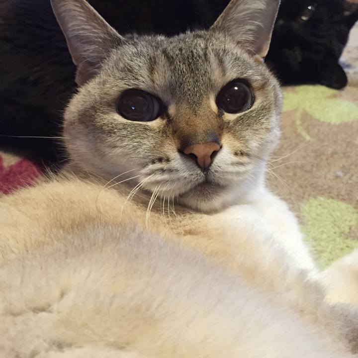 A5496913 cab3 45c0 8ab1 a931427cccd9 1525210960317