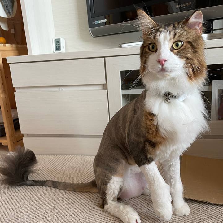 A5496a82 0dc6 467f 94c2 856c3860c546 1658644549194