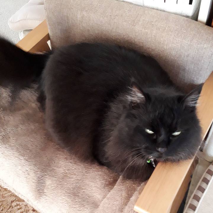 A549baf4 ca92 46d4 bacb adfab89c100e 1522653043031