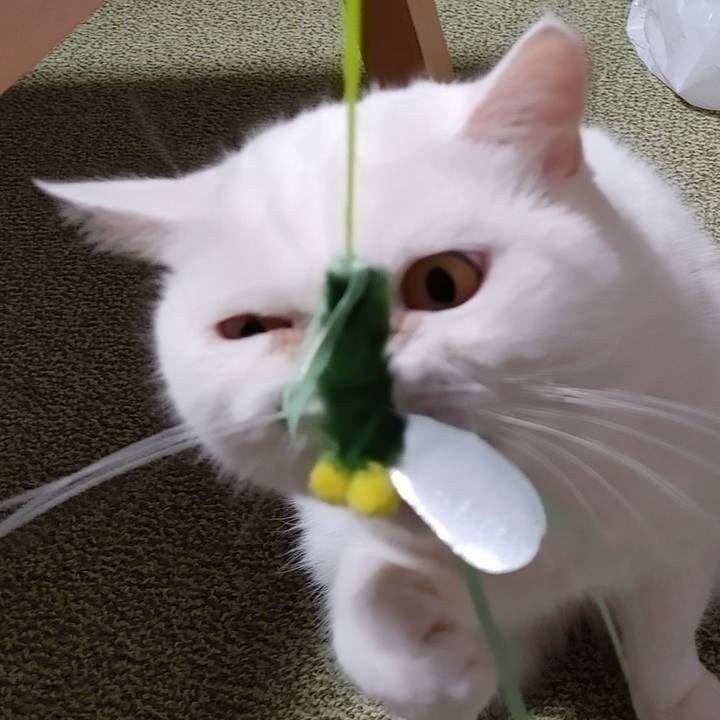 A549ce5a 0c67 4d30 b8fd 8d419943bf85 1631354001621