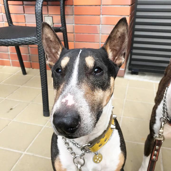 A549ef3b d1c2 4a76 8761 1efa64f46da5 1521368161230