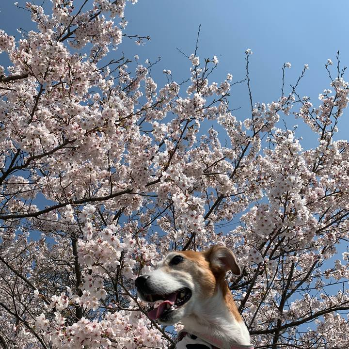 A54a02a5 5b80 4801 8835 e4a931d1aae3 1586145570852