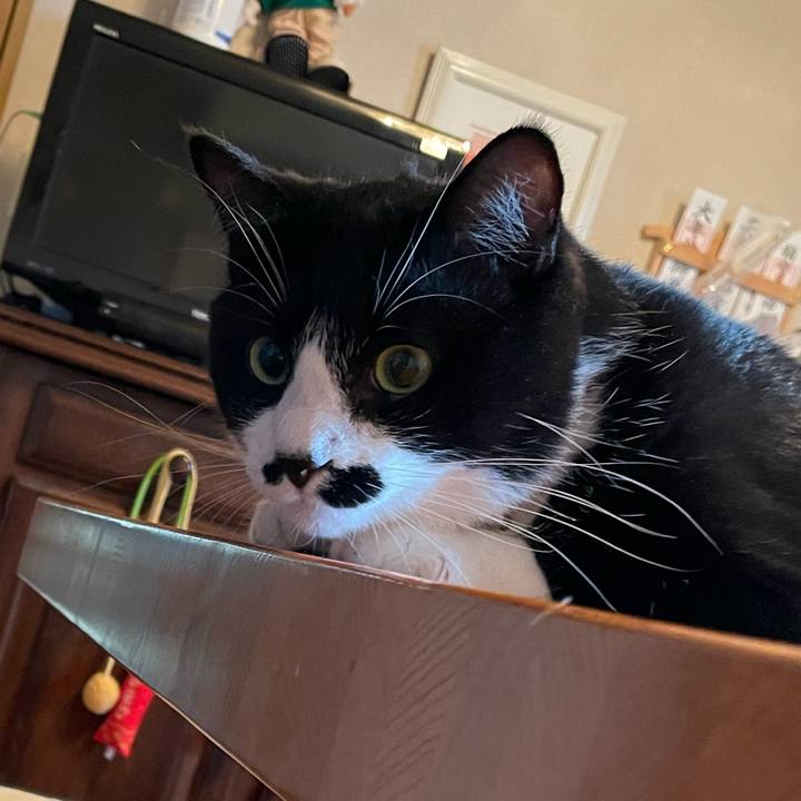 A54a0e72 59f2 4dca 9c9d 56eb88abef0c 1658045149463