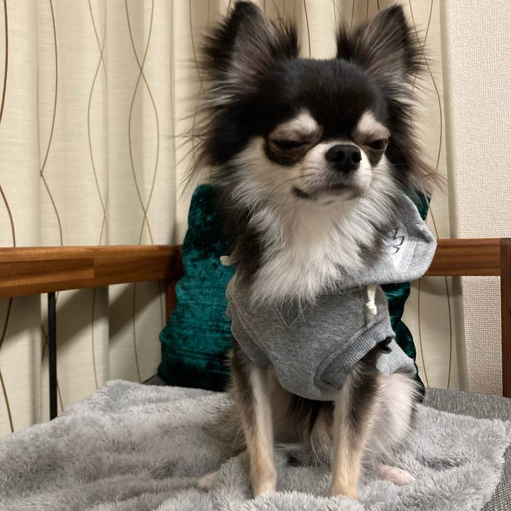 A54a1b4d e7dc 4b11 8184 0b8756dc7d59 1644158031308