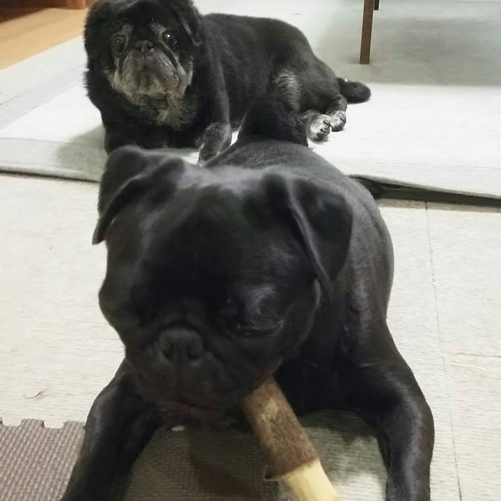 A54a26bb 322b 483b bb11 20cf648b7c8a 1534346485668