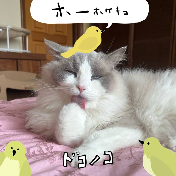 A54a334f b63c 453a 8845 a75a991d7342 1711029705216