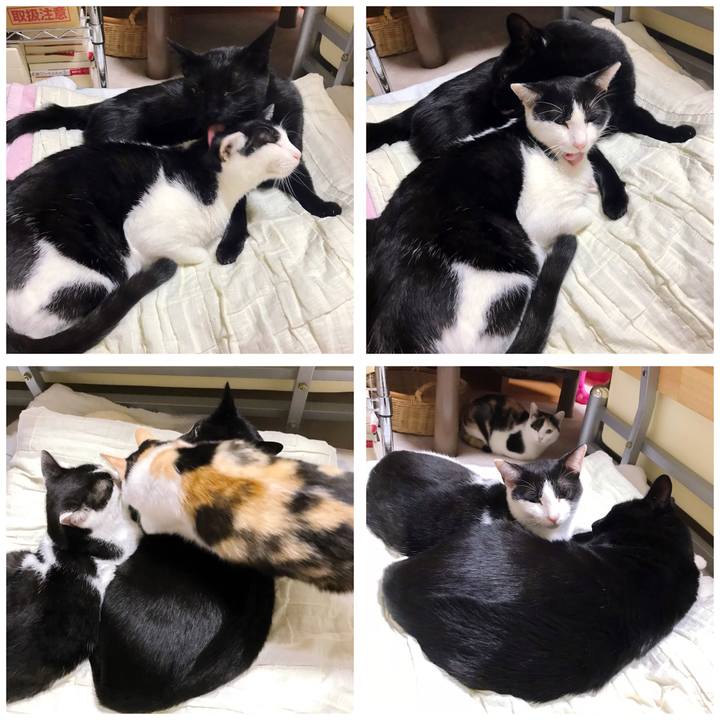 A54a9b58 b76a 4e3d b204 b354da1f2466 1507881601970