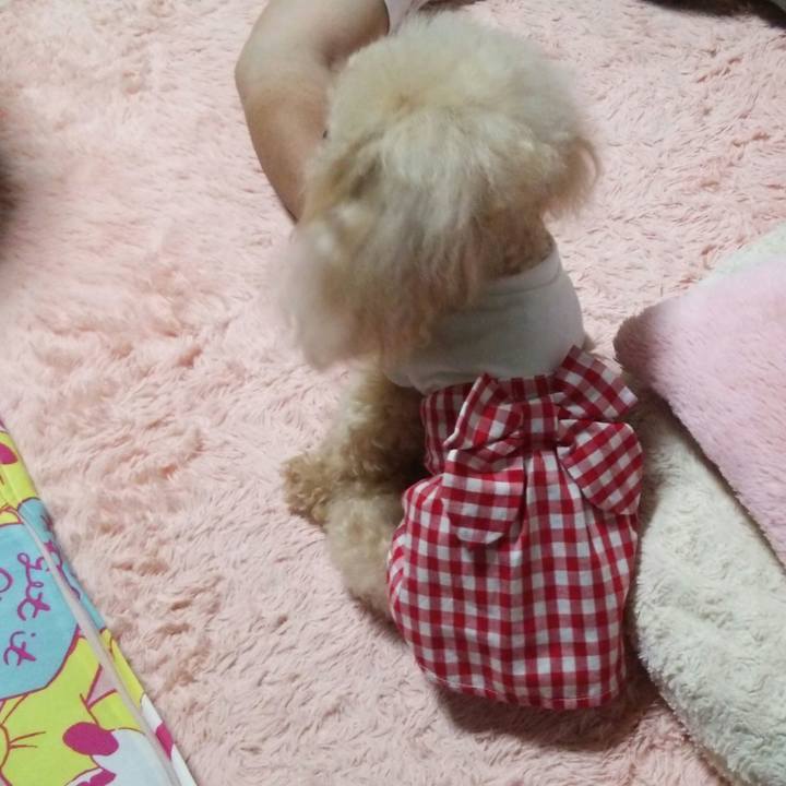 A54a9f98 9595 444c 8f39 62c627236612 1561638541585