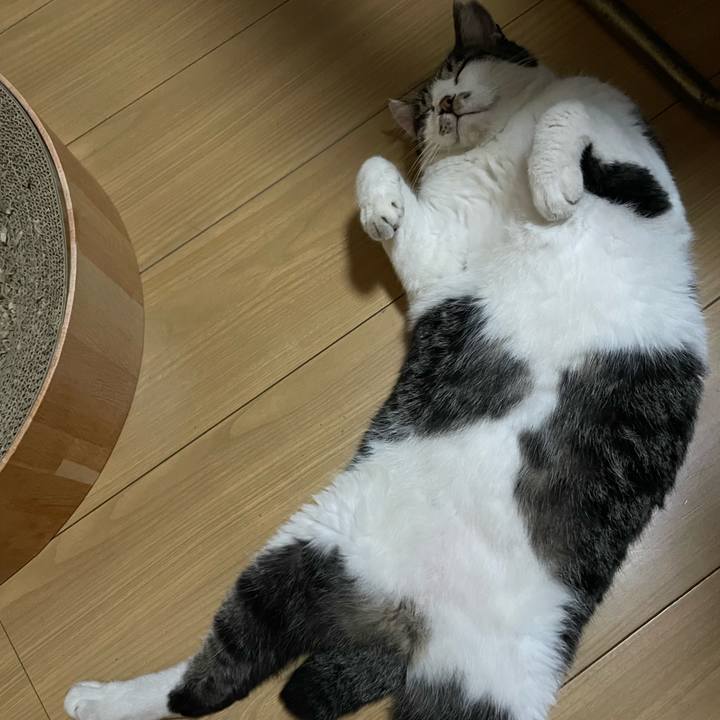 A54ac1af 5847 4621 8c34 fa97a038ee74 1694771523689