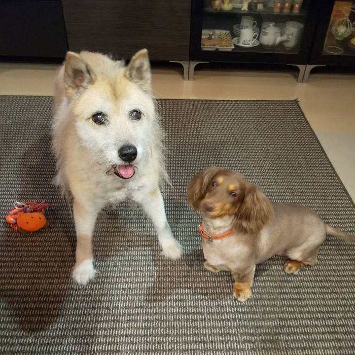 A54af505 32b4 4d17 994d 6567a3c7d6d6 1595929159776