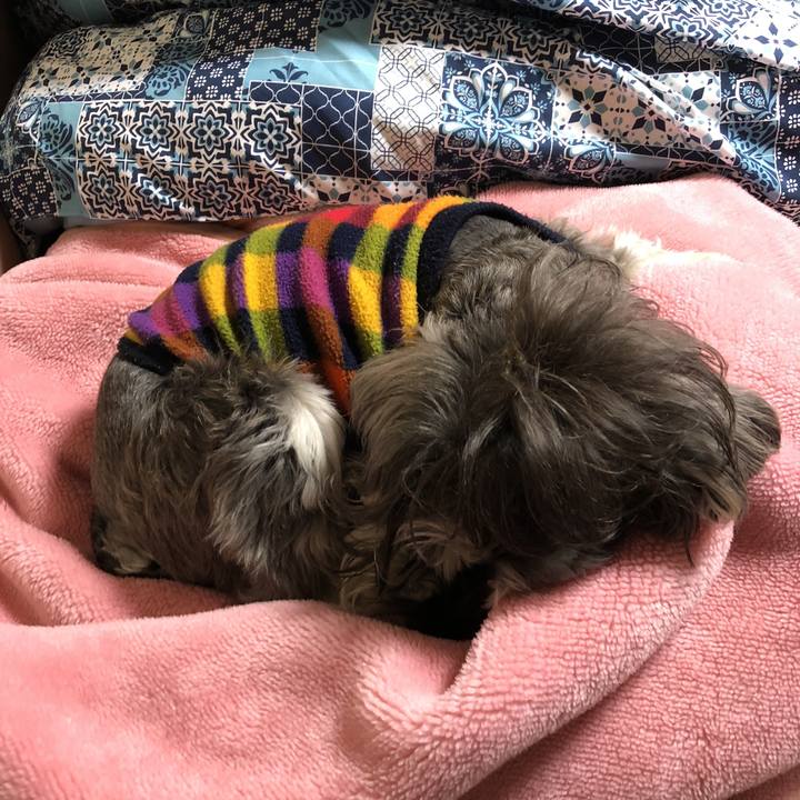 A54b242a 3658 409d 9e58 5f81da1fdb7c 1522330785045