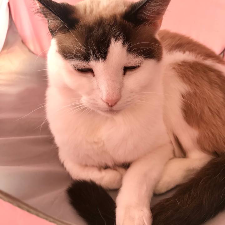 A54b40f6 7d97 4154 a38c 94b8413e1bf6 1582101462562