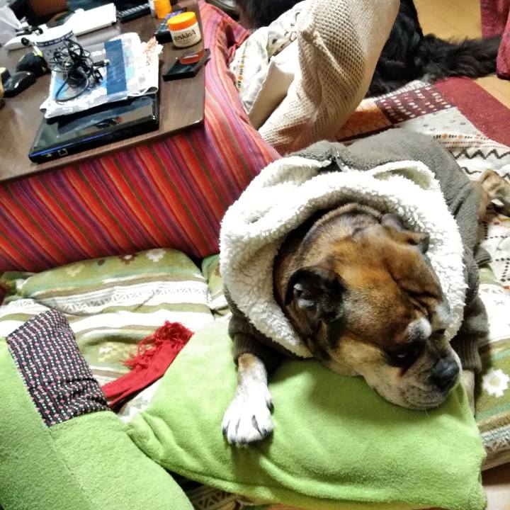 A54b535c 4de8 4bf9 9e01 68b29c8e9f9d 1519474791073