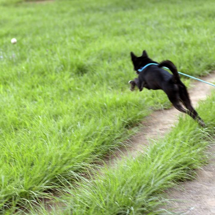 A54b9645 1405 4e01 9f24 1ef1f4ad9ec3 1535154457633