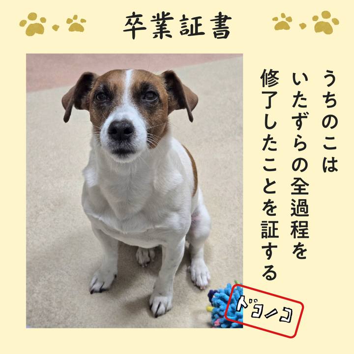 A54baa25 d5b5 4be9 9551 7e514a35dcaa 1771826585525