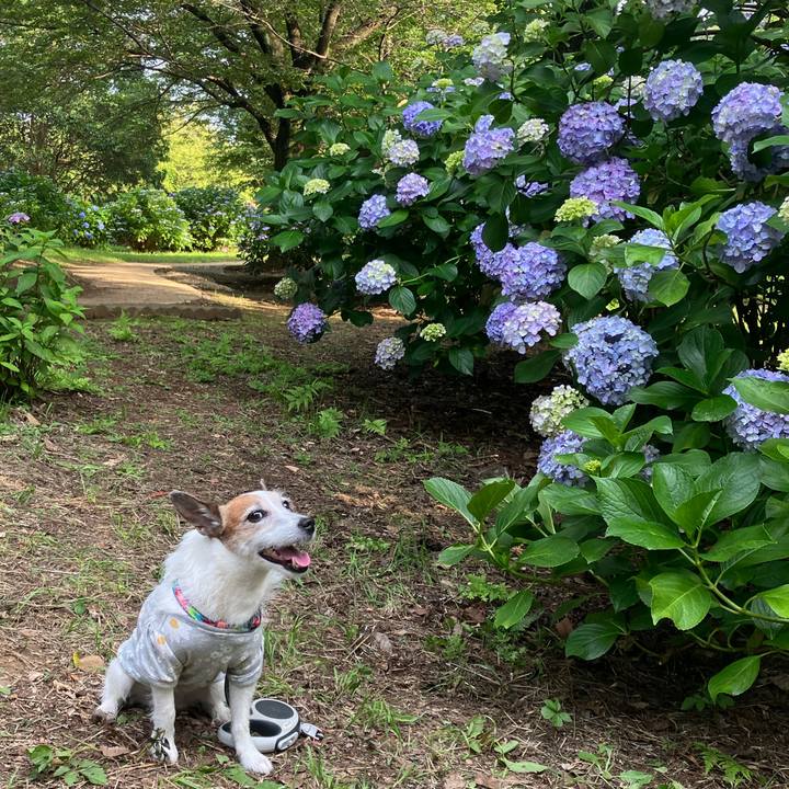 A54c063b a210 4ee7 beb0 78c6962a787c 1687389732921