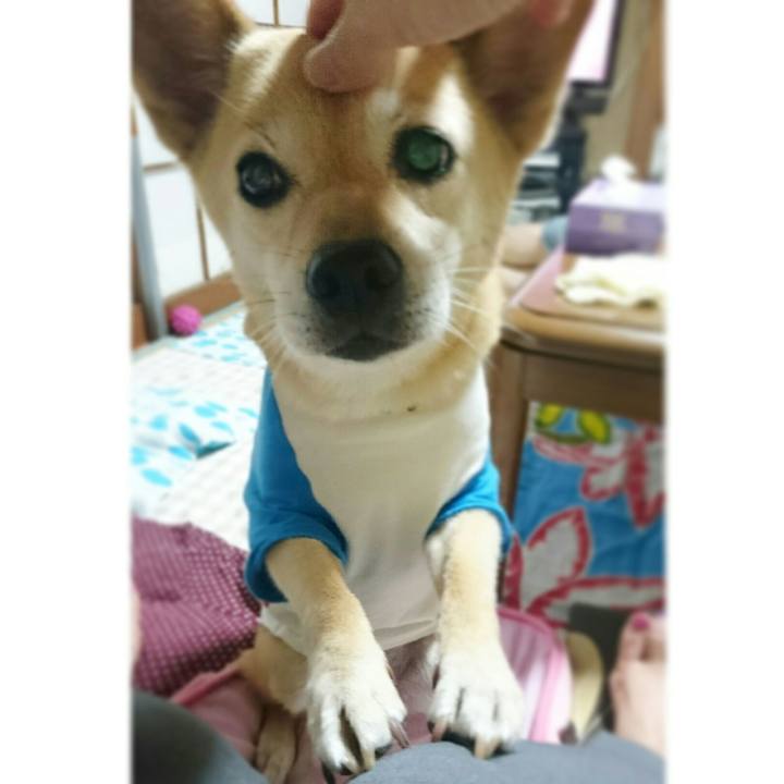 A54c5246 64f8 4302 a020 f7e96b13b387 1521813198671