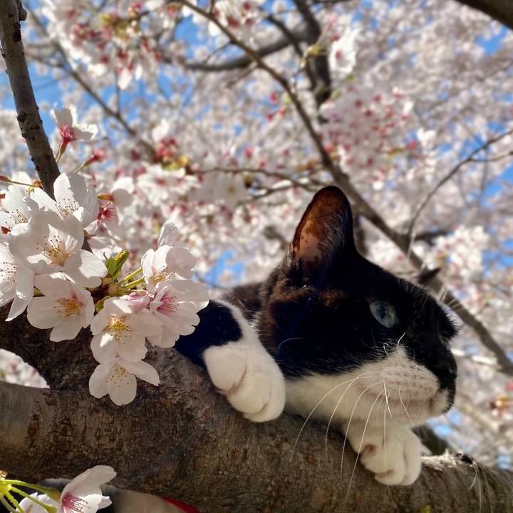 A54c5934 90a8 45bc 8673 3ac63ffccdc0 1648984363860