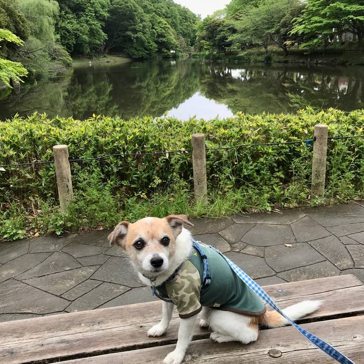 A54cccbe 7926 43d6 bf84 b6e556eb1cc4 1651208411502