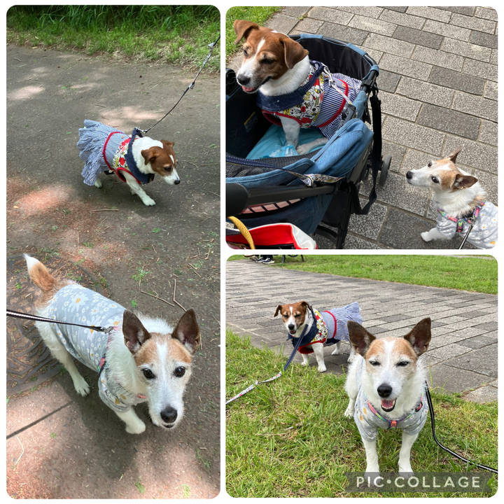 A54ce13f 5c2e 4dc0 bc17 b743dfd82d21 1746492034269