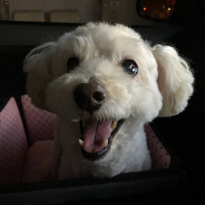 A54cf60b b576 4e69 bc0a c059e7548fd0 1535546916482