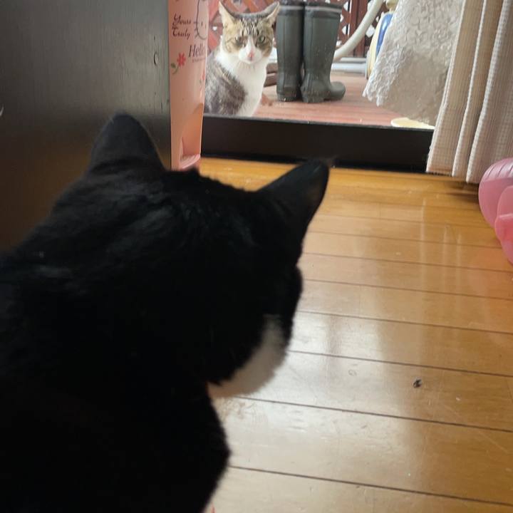 A54d1fad 3191 457d 9bfa 9ec115f9b9b0 1650500662465