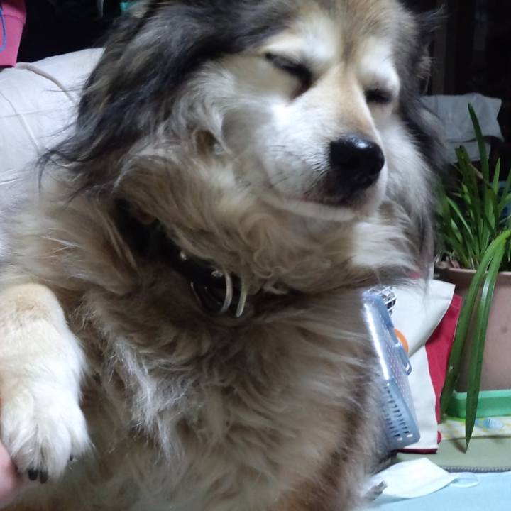 A54d685d d628 464d 8470 c1100def95f3 1602309758275