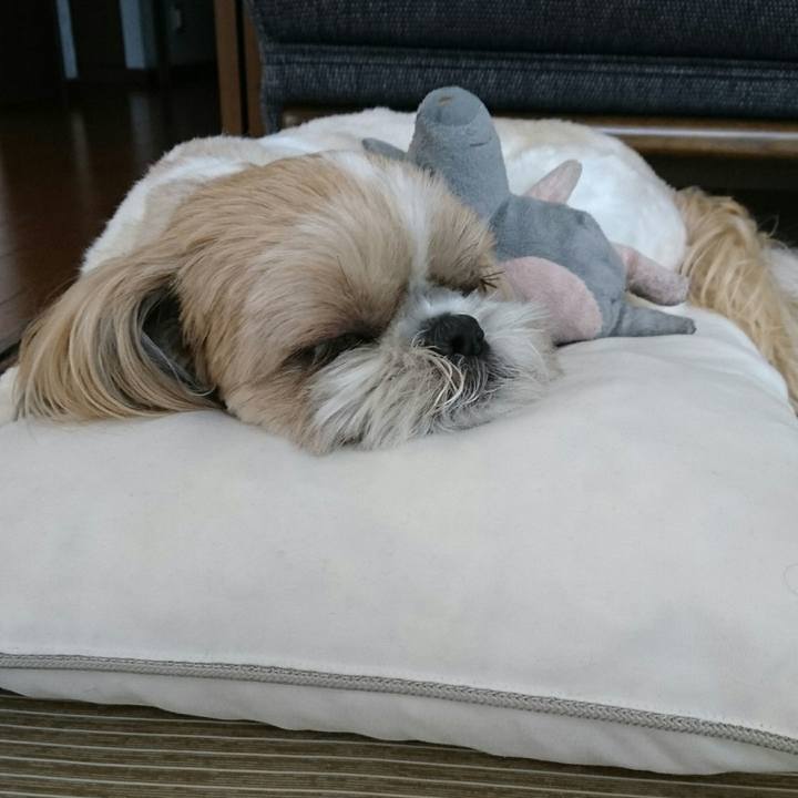 A54d71c6 087f 42f2 a394 f32d326442df 1558588328000