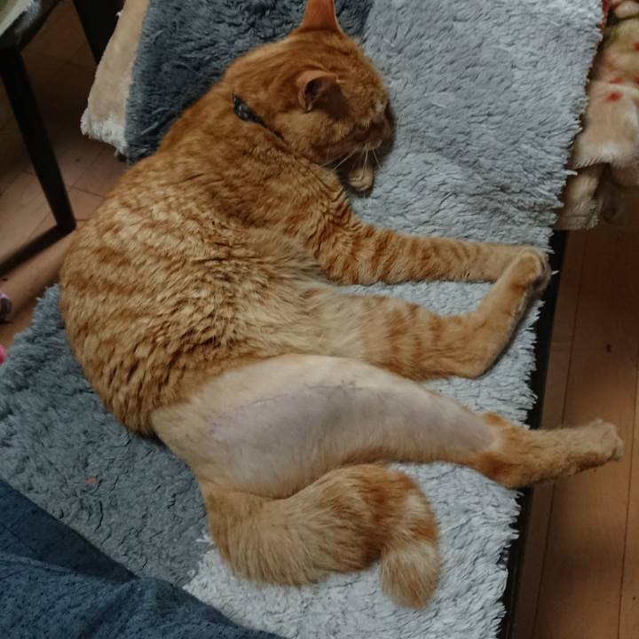 A54db54d dd23 4c74 a590 63ca18ce7fcb 1655604151873