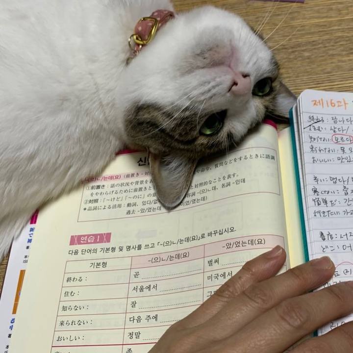 A54e2c9b ba1d 442b 9b87 66d4656c2911 1620856066906