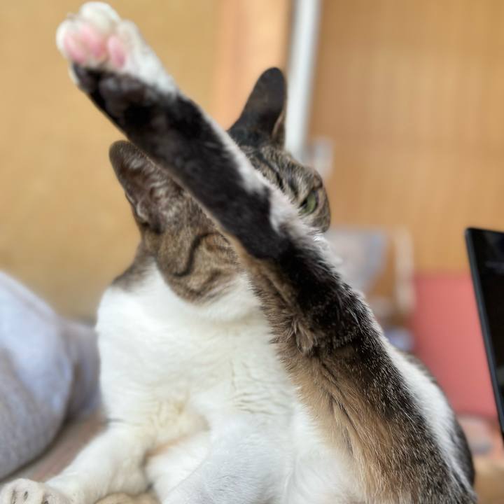 A54e3e16 25c7 4abc a1e3 5167b4d08a5e 1682301607191