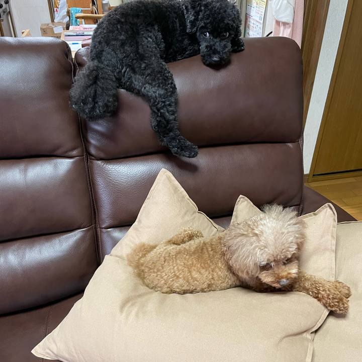 A54e661e 78b0 4295 9e08 aaa06fb470df 1663987686623